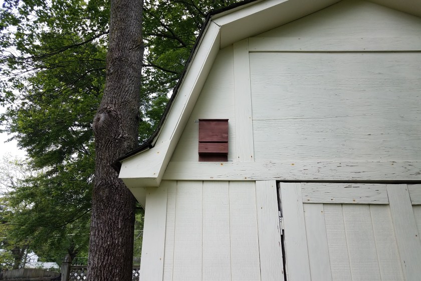 wooden brown bat box on white storage shed.