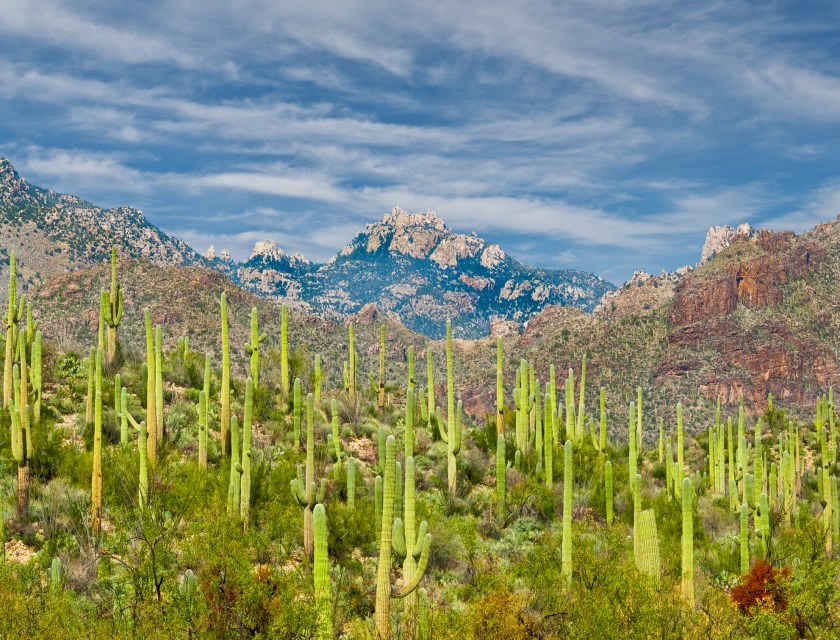Sabino Canyon is a desert canyon in the mountains of Southern Arizona and a popular hiking destination