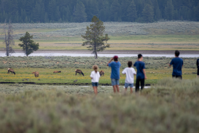 national park week