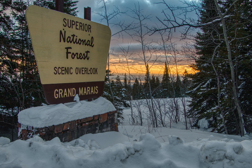 superior national forest
