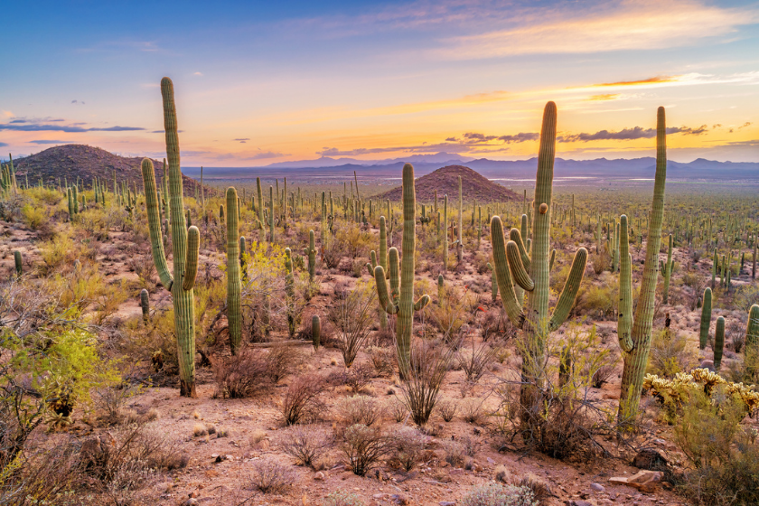 day trips from tucson