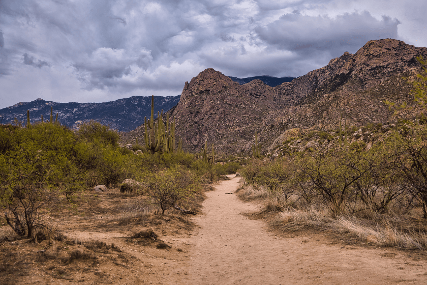 catalina state park