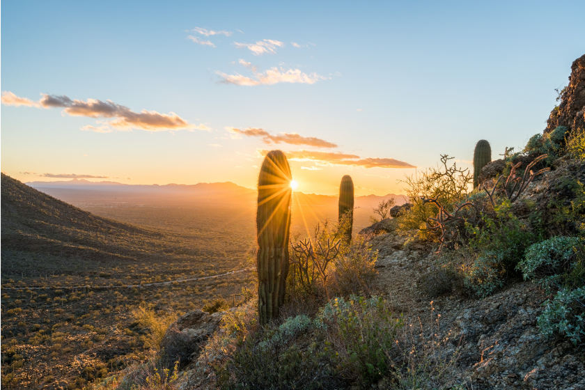 day trips from tucson