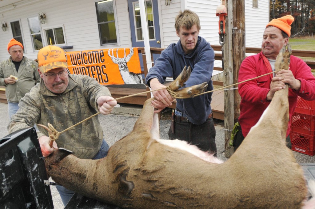 Vacuum Sealing Venison Preserving Your Harvest for the Long Haul