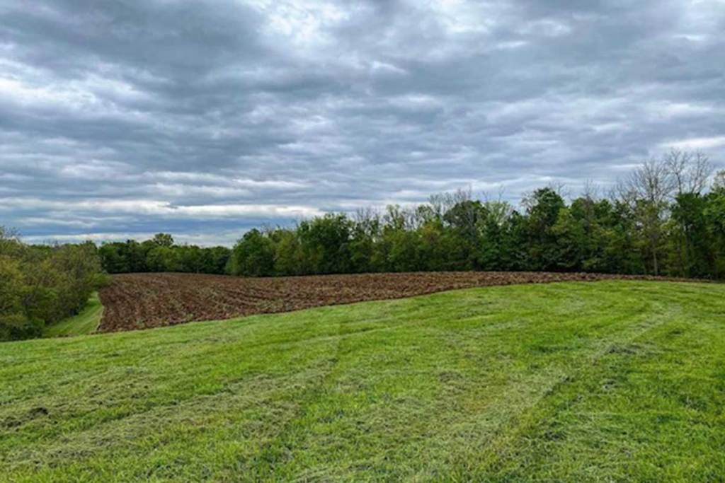 Late Season Food Plots