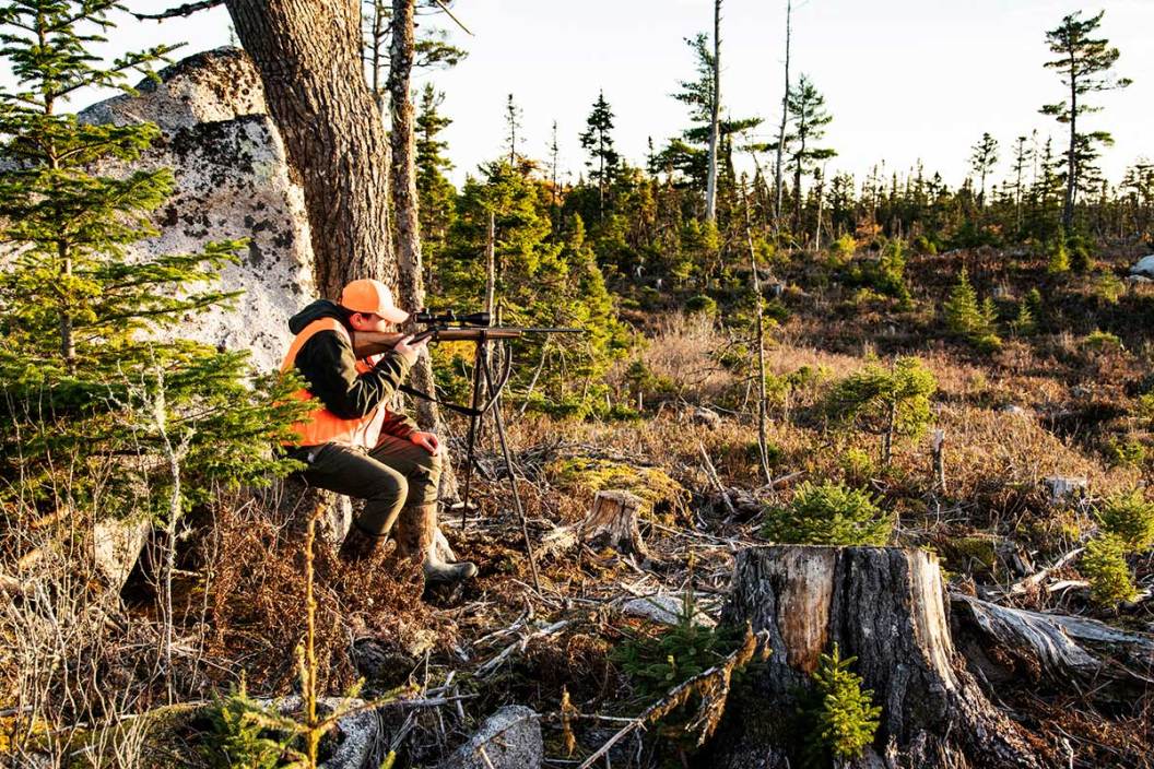 best states for public land hunting