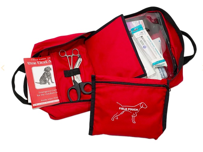 Best Gun Dog Gear Training Supplies and HuntEnhancing Equipment