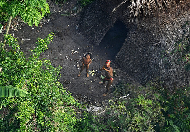 Dangerous Wild Places