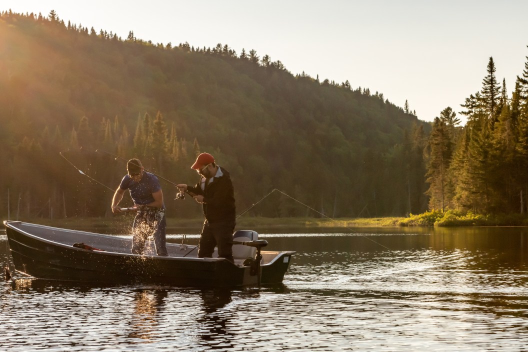 Two fishermen catching a fish in a boat on a lake of Lanaudiere area, Quebec during the fishing season at sunset.