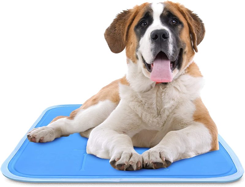dog rests on amazon cooling dog mat