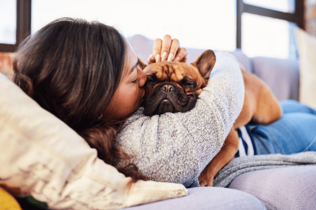 15 Best Emotional Support Dog Breeds for Anxiety and Depression