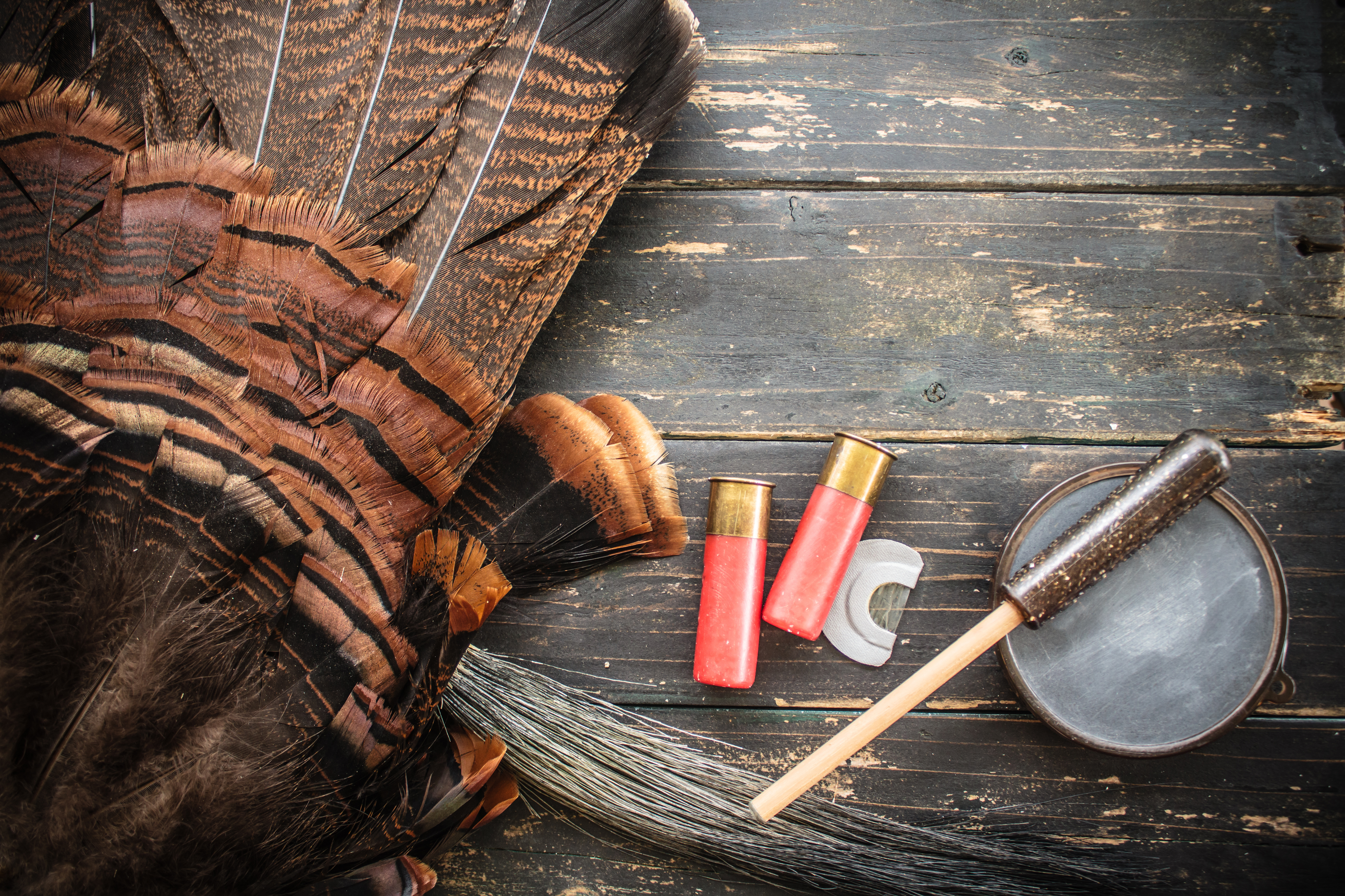 turkey calls for hunting