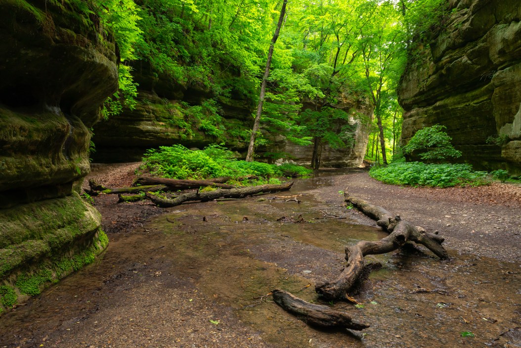 Beautiful landscape along the hiking trail in Kaskaskia Canyon. Starved Rock State Park, Illinois, USA.