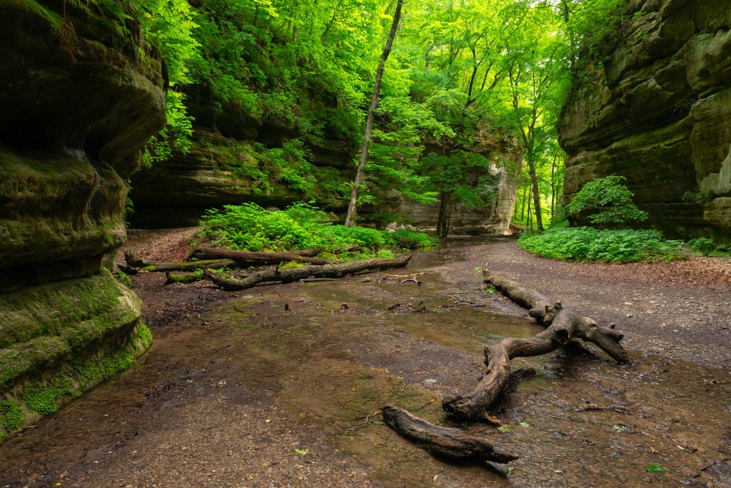 8 Awesome New York Swimming Holes You Can Hike To Wide Open Spaces