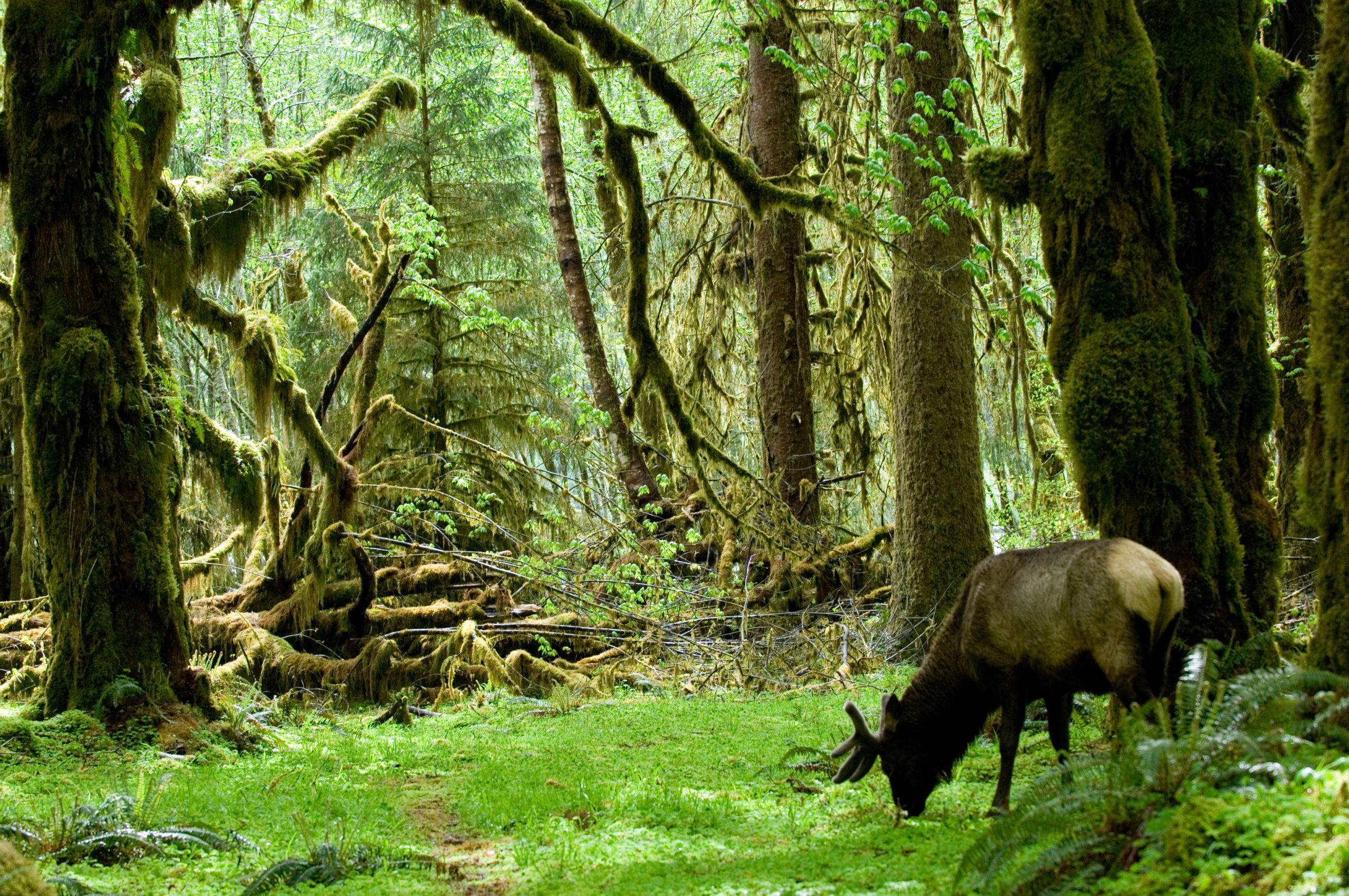 Quietest Wilderness Places in America