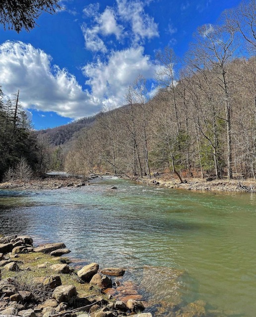 Fly Fishing Streams