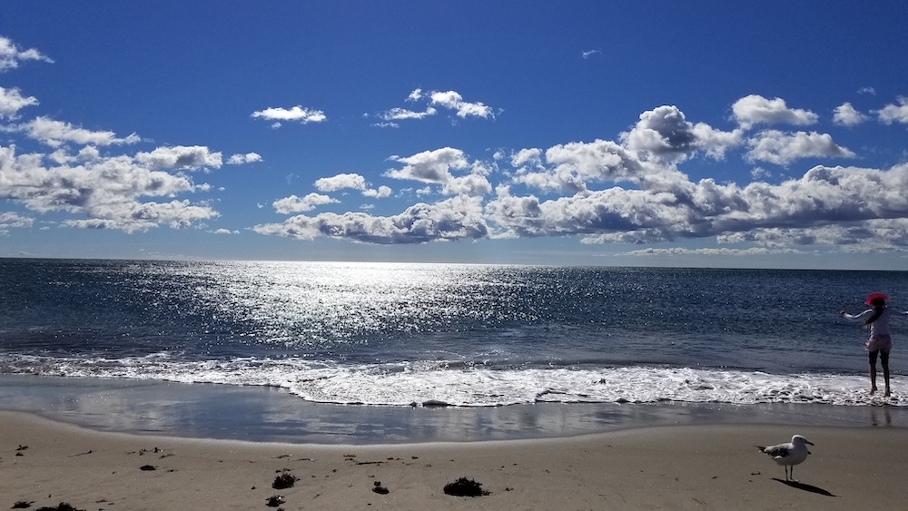 Morning sunshine along North Beach