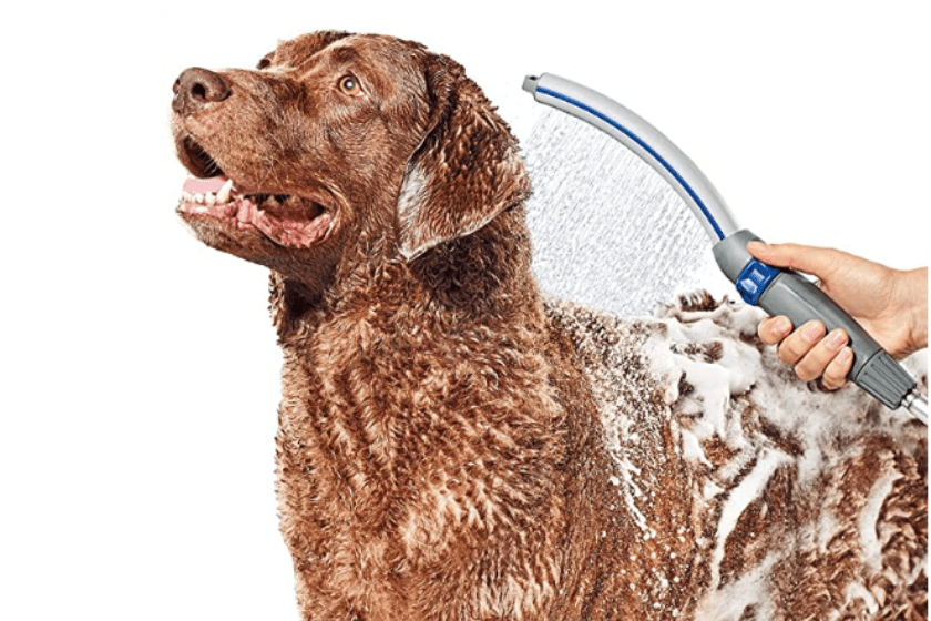 dog shower sprayer