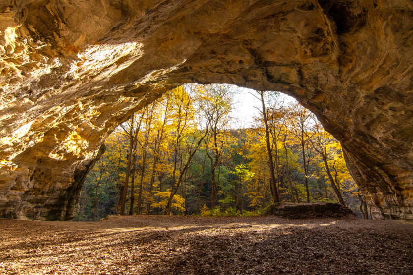 Early morning light at Council Overhang with fall/autumn colors. Starved Rock state park, Illinois, USA.