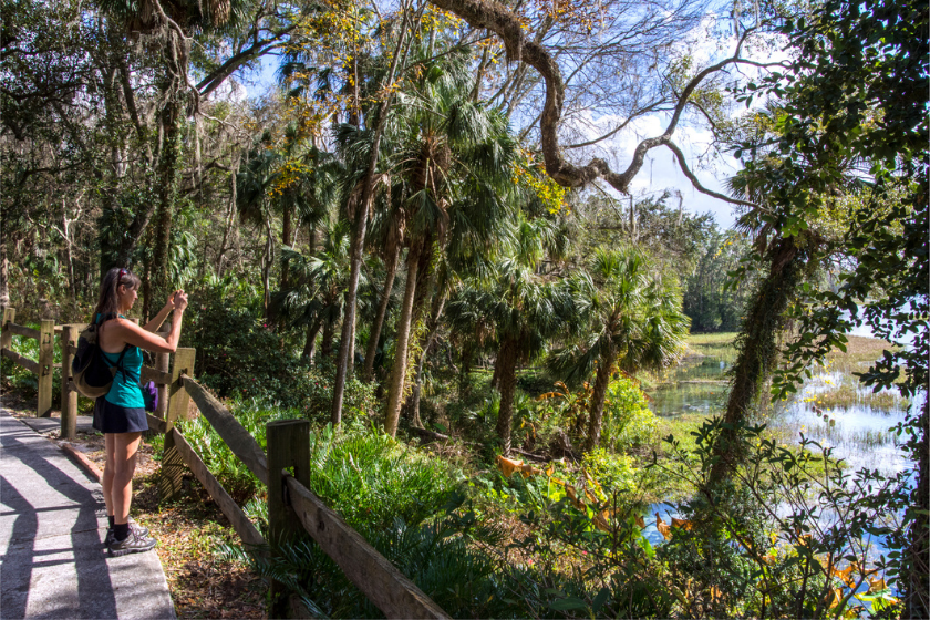 Woman getting a photo of Rainbow Springs from above.