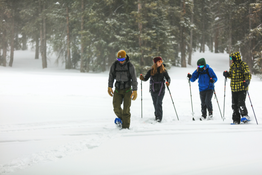 Group of Young Adult Caucasian Males and Females Enjoying Winter Sports Activities in Cold Conditions