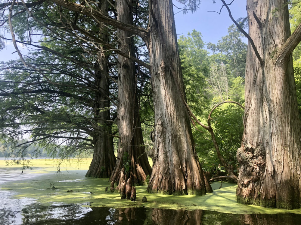 State Parks Near Chicago