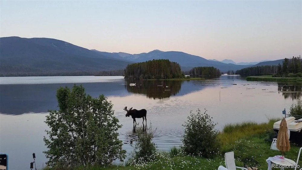 a moose wades in shallow water on the shores of a large lake at dawn
