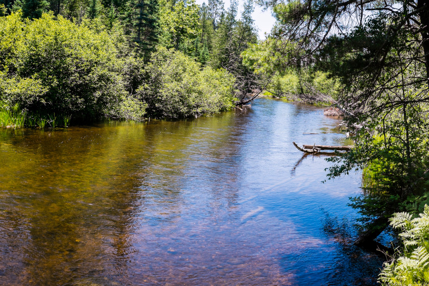 Fly Fishing Streams