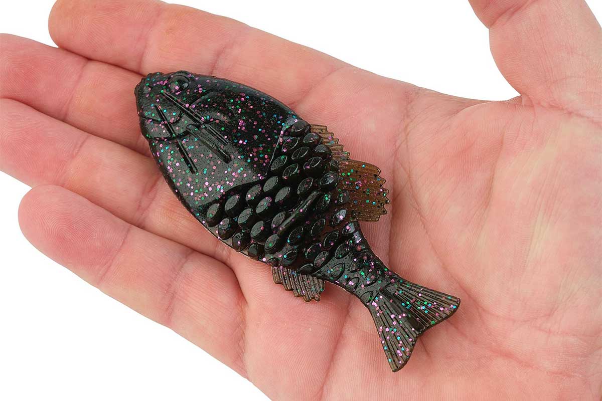 Best Soft Plastics Used By Pro Anglers