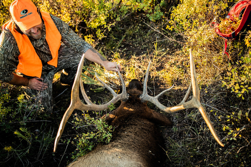 Hunting in Colorado