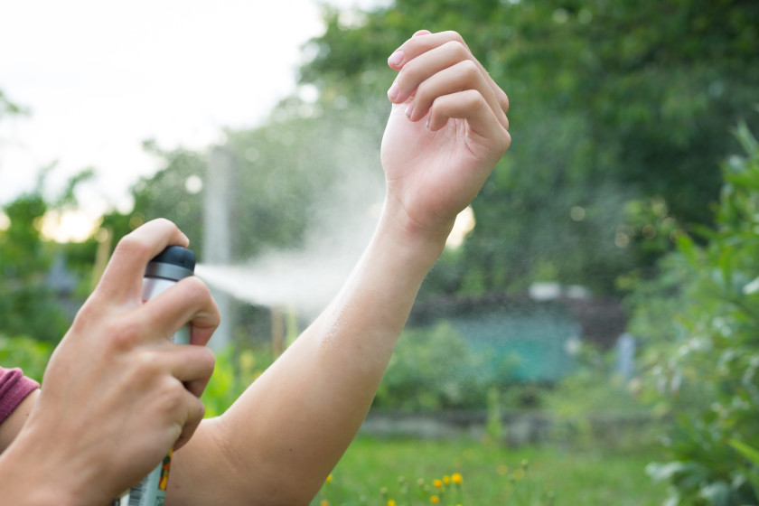 Insect Repellent: The Chemicals That Make It Work and Alternatives