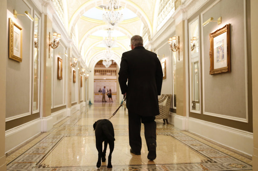 Joe Fallon walks Cori, the new black lab in residence at the Fairmont Copley Plaza Hotel