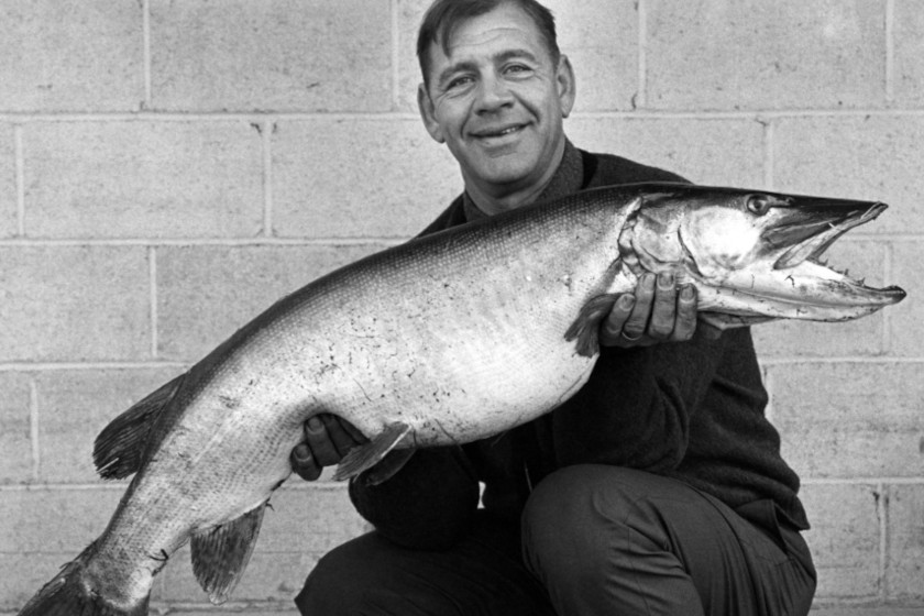 What to Do If You Catch a State or World Record Fish