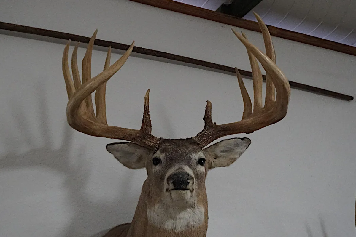 The General: The World Record Nebraska Whitetail Known Only By Sheds