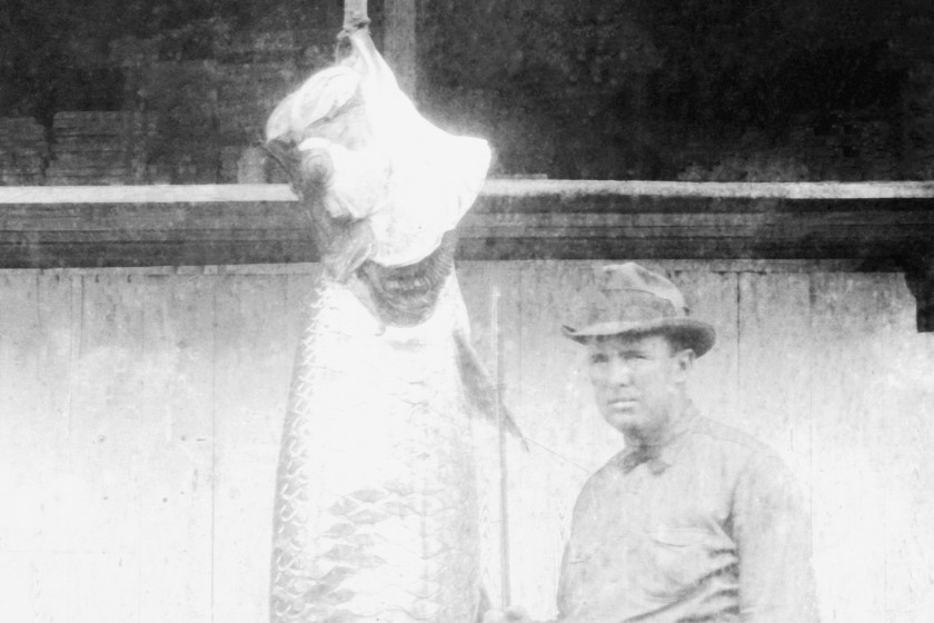 World Record Tarpon