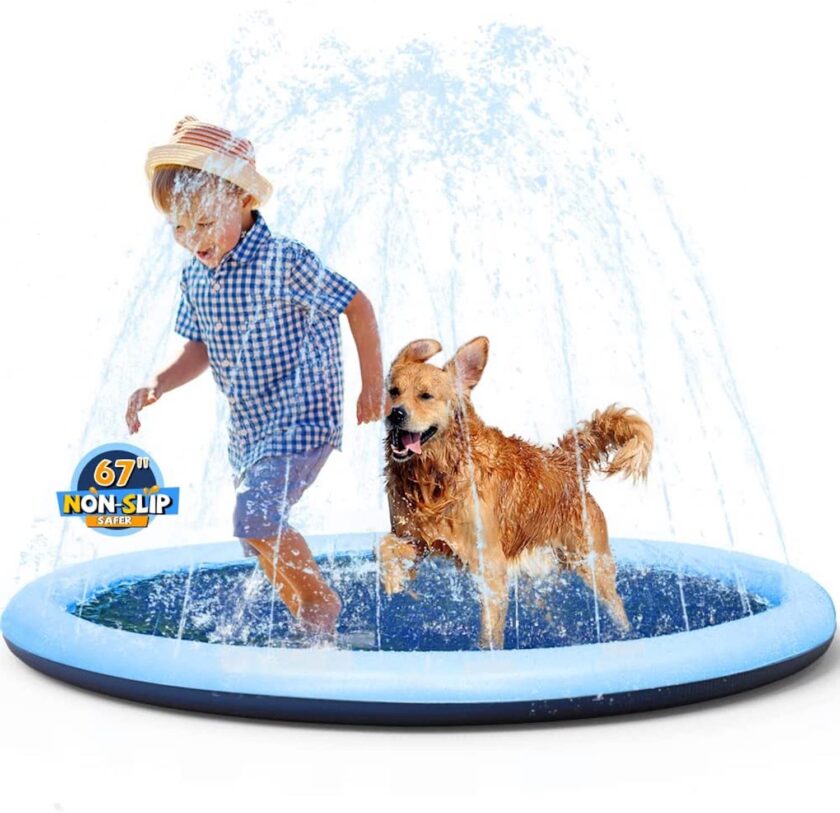 a dog and young boy play on a splash pad together