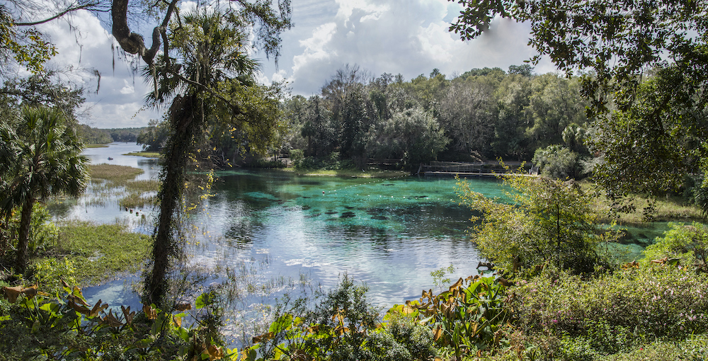 Rainbow Springs headwaters panorama