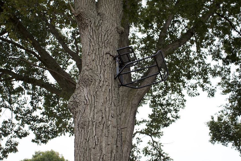 treestand maintenance