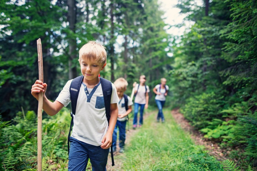 Little boy and his family through a dense forest. Kids are aged 6 and 10.