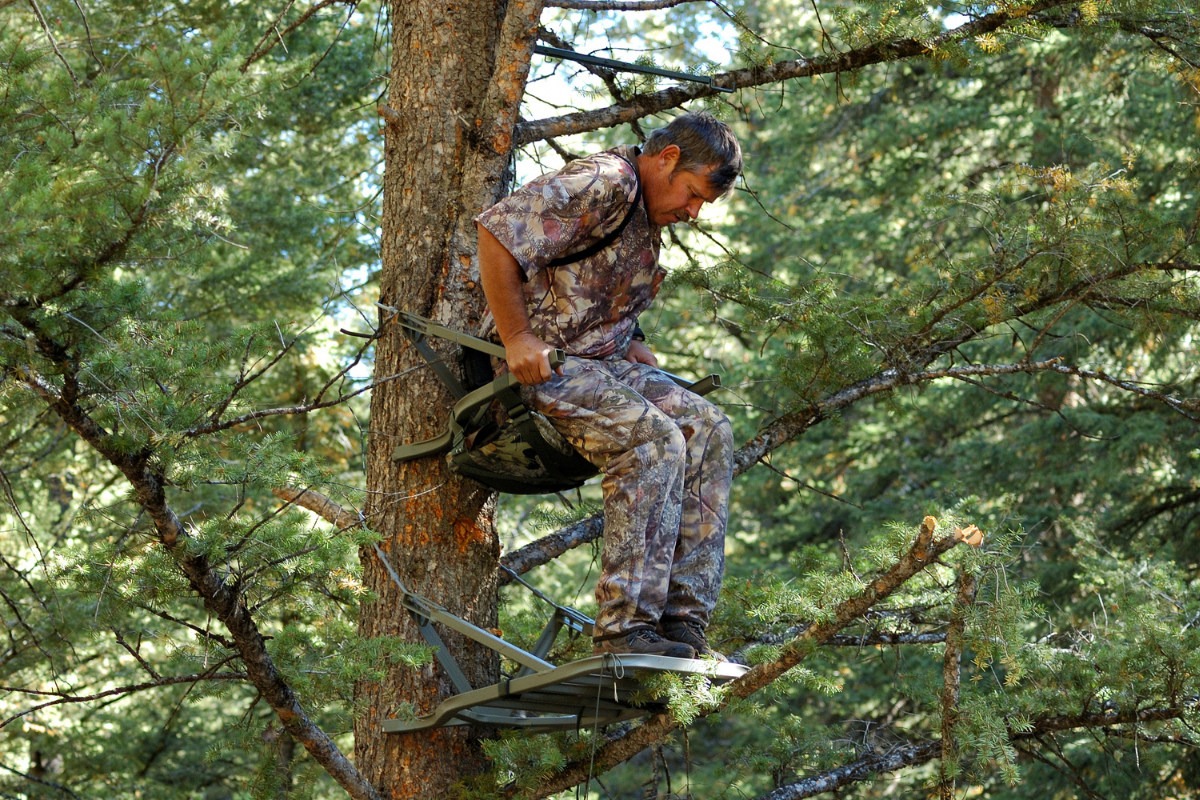 treestand maintenance