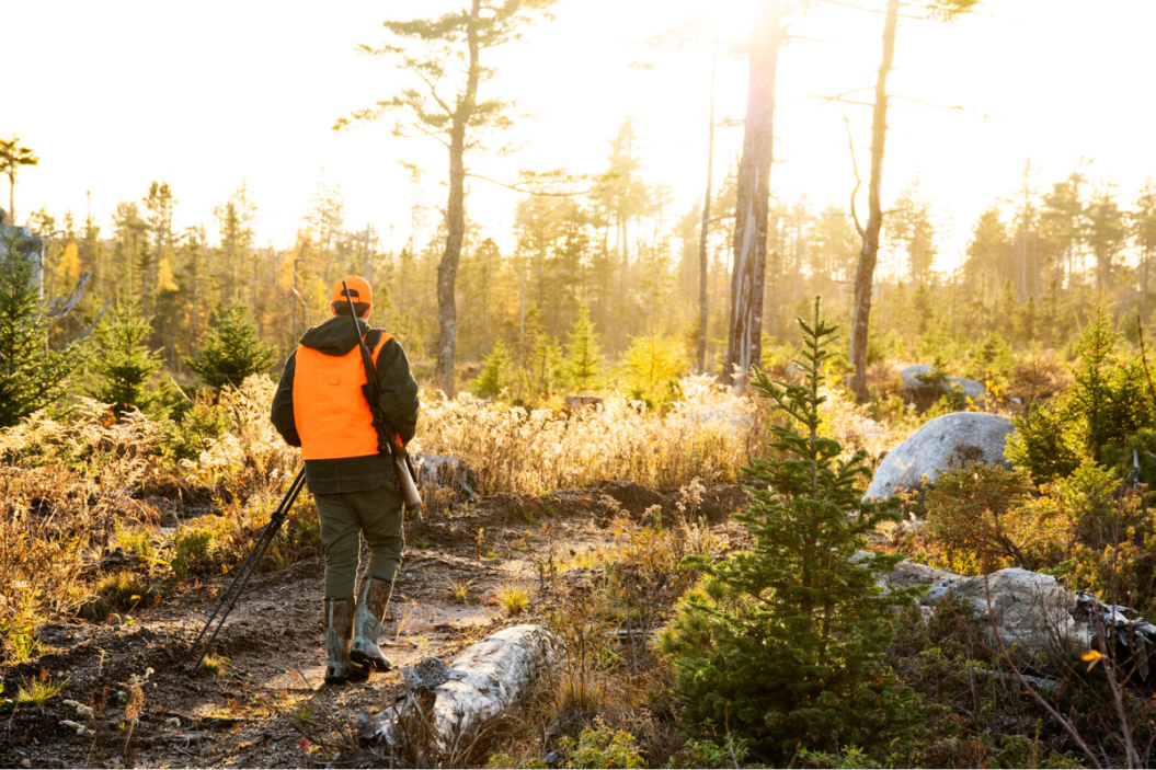 New Deer Hunting Spot 6 Signs That It's Time to Move On