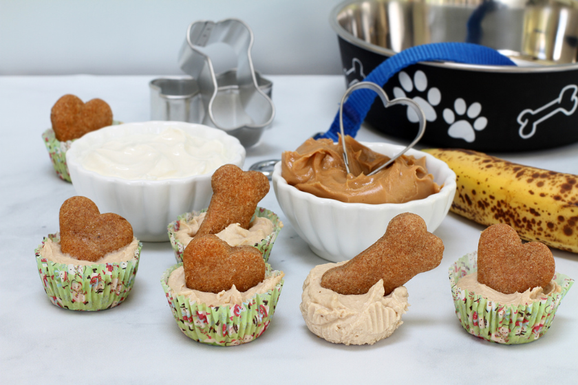 dog birthday party ideas homemade