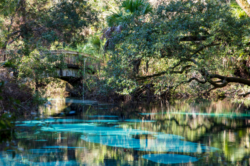 A scene of serenity encompasses the turquoise waters of Juniper Springs with it quaint bowed wooden bridge in the background