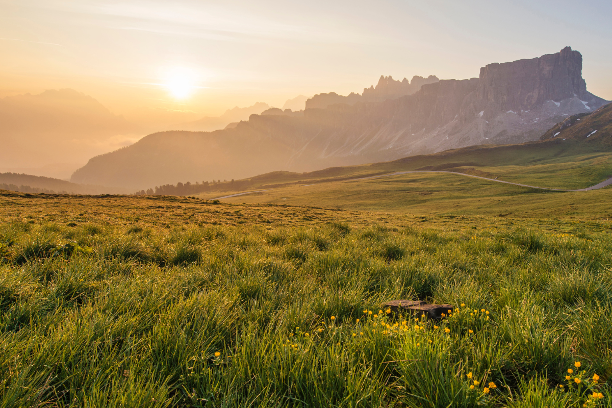 Grass landscape with the mountains in the background at sunset. Picture was taken in the outskirts of the United States.