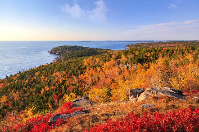 An early morning Autumn view of Otter Point from the top of Gorham Mountain; Acadia National Park, Maine.