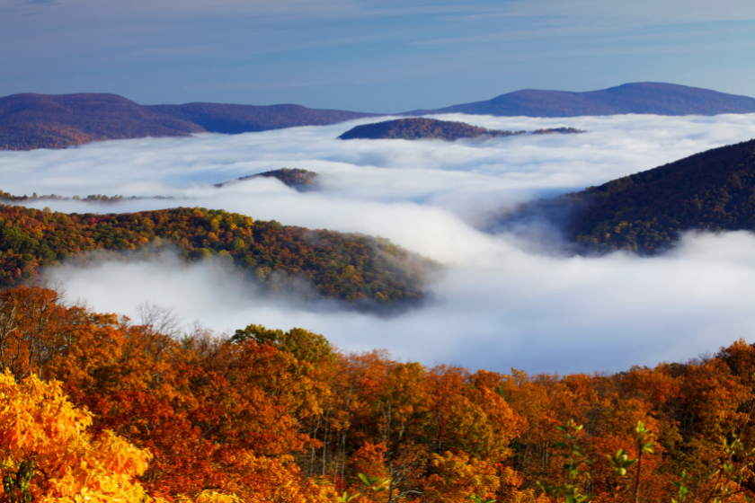 Autumn colors in Shenandoah National Park, above the clouds.