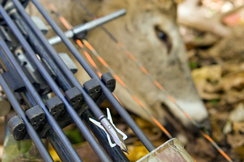 Bowhunting Equipment