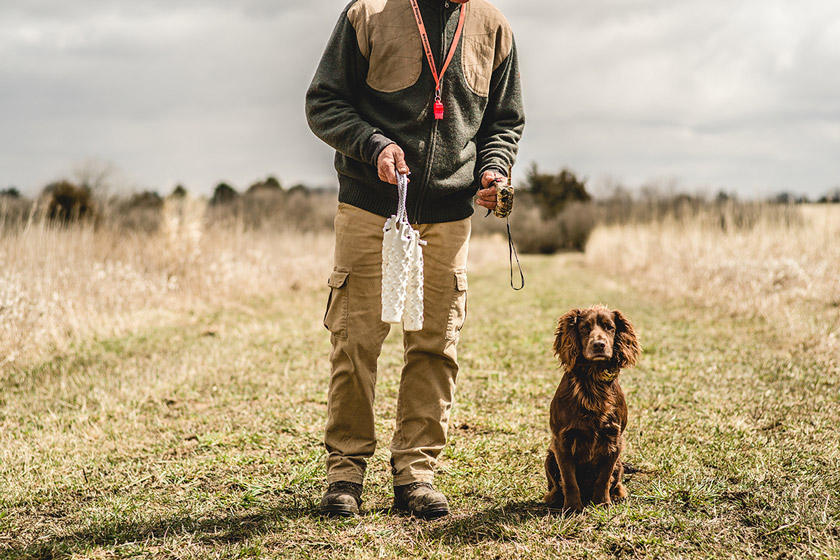 hunting dog breeds