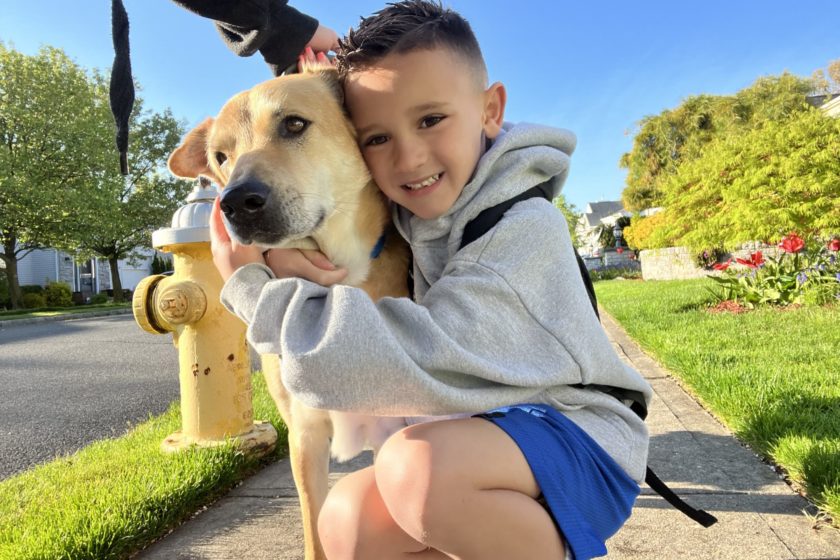 Young boy hugs a rescue dog on the sidewalk 