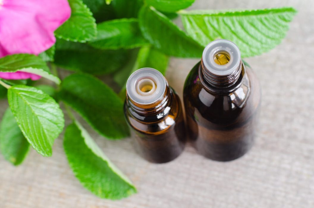 DogFriendly Essential Oils May Benefit Your Pet